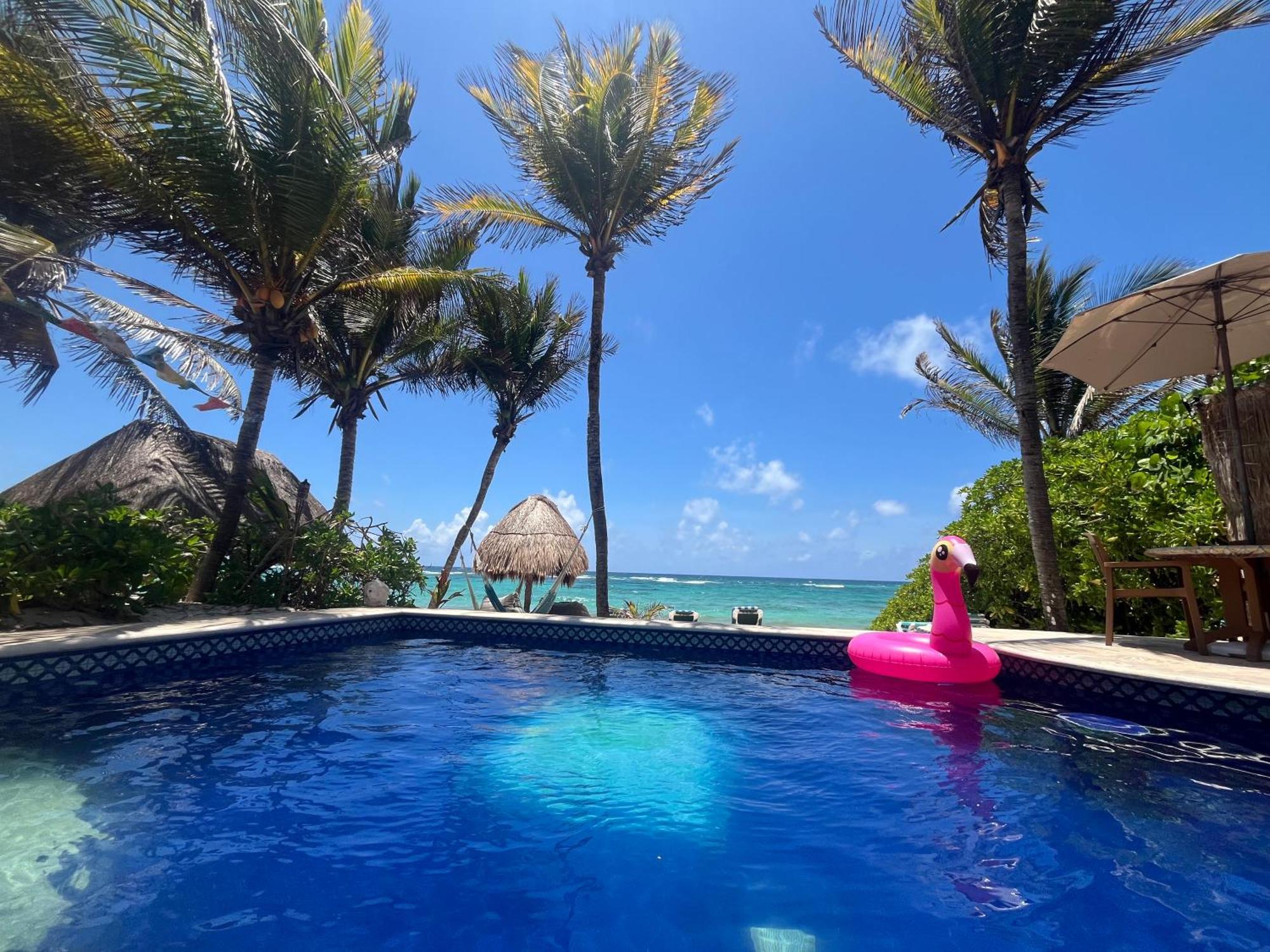 Beachfront Hammock Heaven Akumal Εξωτερικό φωτογραφία