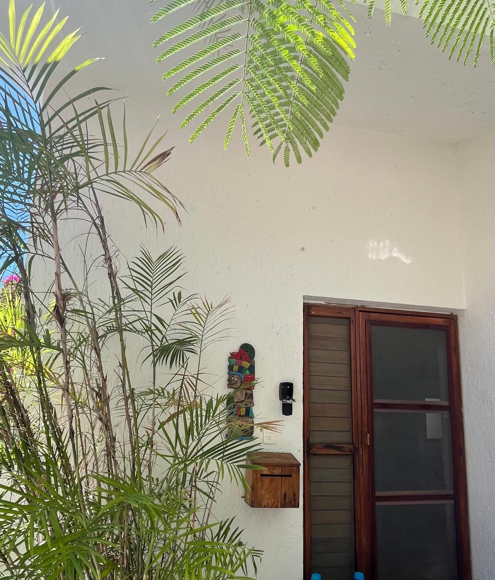 Beachfront Hammock Heaven Akumal Εξωτερικό φωτογραφία