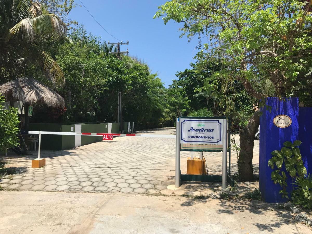 Beachfront Hammock Heaven Akumal Εξωτερικό φωτογραφία
