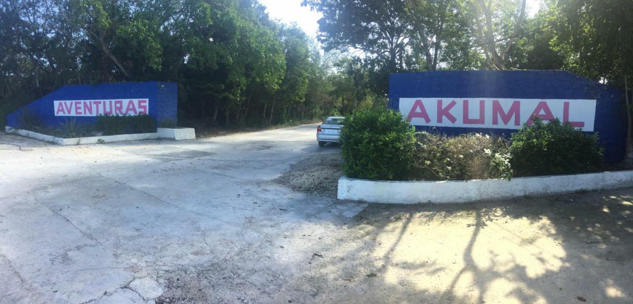 Beachfront Hammock Heaven Akumal Εξωτερικό φωτογραφία